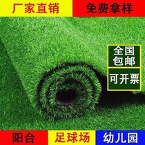 新款 Living room decoration show carpet mat grass green地毯