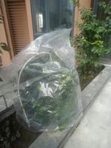 Protective film windproof plastic bag wintering garden flowers?? Plastic cloth winter protection fruit trees antifreeze film