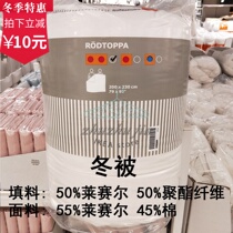 IKEA IKEA Rothpadon quilt thickened warm quilt core single double quilt leiselle duvet