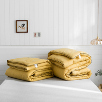 Norse pure color cotton water washing cotton spring and autumn cotton embroidery thick winter quilt dormitory single warm quilt core