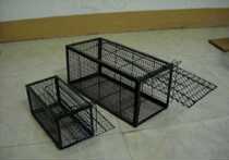 Ice pack Foam box Transport cage