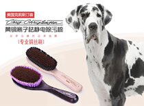 American Christenson purple anti-static handle comb nylon copper wire pig mane brush small large anti-static