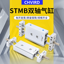Double rod bidirectional biaxial cylinder STMB10 16 20 25X25 50 75 100 125 150 200 With magnetic