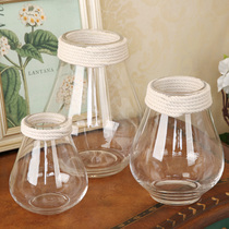 Fan makeup American pastoral glass vase simple living room desktop ornaments simulation flower flowers can hydroponic flower