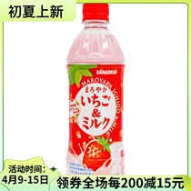 Spot Japan Imports Sangaria Three Canary Strawberry Milk Drinks Sangolian Drink 500ml Single bottle