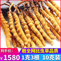 Zanghui Pavilion 2021 authentic Cordyceps Cordyceps flagship store dry goods 1g 3 10g gift box