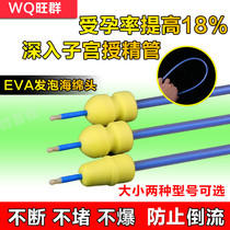 Deep insemination tube bottle deep insemination tube disposable sponge head vas deferens 100 root price