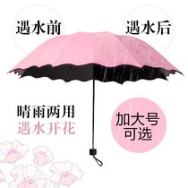 Anti-UV lady Umbrella female small fresh clear and rain dual-use good looking 2-3 people purple new adults