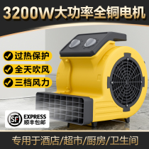 Blow Ground Machine Ground Blow-drying Machine High Power Dry Hot And Cold Hair Dryer Commercial Toilet Ground Floor Carpet Dehumidification