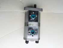 Ship hydraulic fittings CBN One E16 16 (duplex pump) Real beat hydraulic gear oil pump marine accessories