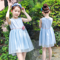 Girls summer childrens clothing 2021 New Korean version of little girl Summer net gauze princess skirt