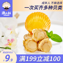 (Full 199-100)Fishing uncle scallop meat open bag ready-to-eat seafood snacks Dalian specialty Spicy Ezo shellfish