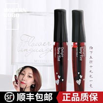 Magic tonymoly Forest Korea Tony Charm Berry Cherry Persistent Dyeing Lip Gloss Dye Lip Glaze Women