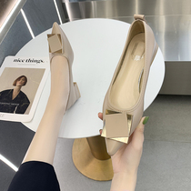 Mary Rare Shoes 2022 Spring New 100 Hitch Pointed Late Night Shoes Gentle Wind Low Heel Coarse Heels Female Single Shoes Woman