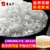  2020 New rice Northeast Wuchang Minle Township Daohua No 2 rice 500g*7 Heilongjiang farm fragrant rice