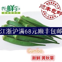 Fresh vegetable okra freshly picked freshly made hexagonal bean pepper 500g Jiangsu Zhejiang and Shanghai 5 pieces