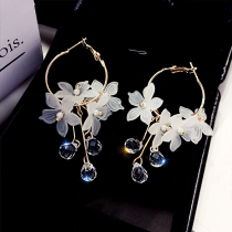 Super fairy crystal flower earrings South Korea 2021 new fashion high-grade sense earrings womens wild net red stud earrings jewelry