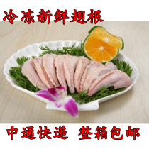 Frozen raw chicken wing tip 20 catties Frozen fresh nutrition Original unsalted semi-finished product FCL saves more