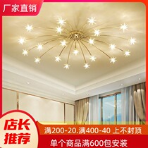 Gypsophila ceiling lights led simple modern bedroom living room lights Nordic lamps home round room stars