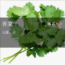 The parsley coriander coriander
