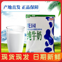 Xinjiang specialty garden pure milk Tetra Pak pillow full-fat nutritious breakfast at room temperature 200mlx20 bags