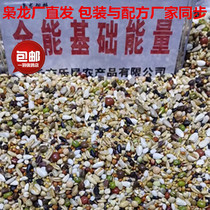 The Mighty Dragon Dove Grain All-round Foundation Energy Feed Racing Pigeon Species Dove used to fly hot pins for 40 kilos