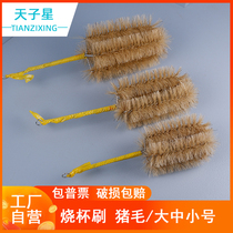 Free invoicing) Bog brush cross Cup brush laboratory cleaning brush laboratory cleaning brush beaker cleaning brush