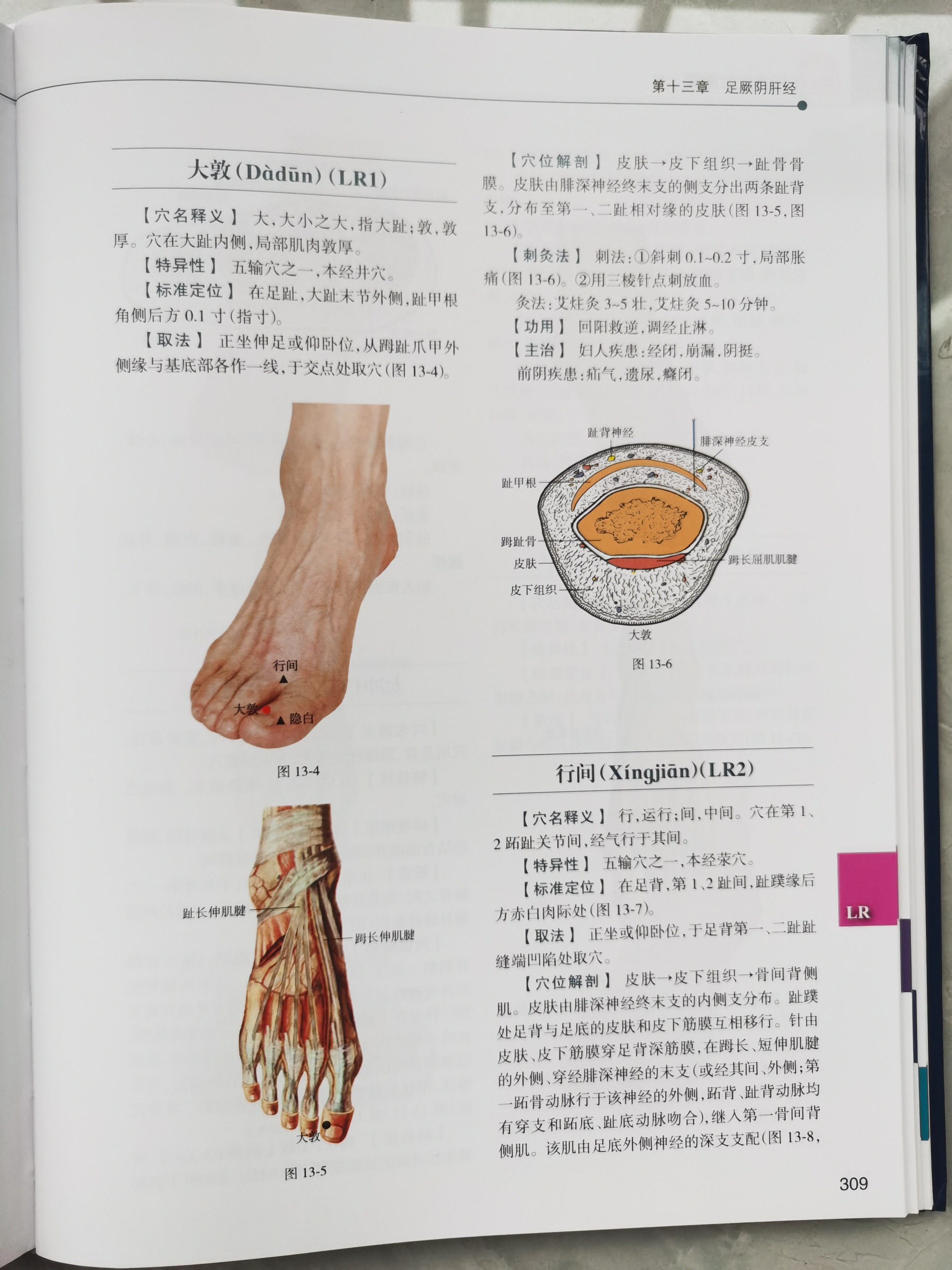 针灸穴位图解第二版中医针灸基础书籍人体经络图解书籍郭长青经络腧穴书