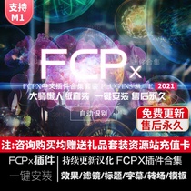 FCPX Chinese plug-in collection Effect Title Subtitle transition color grading Dermabrasion template opening one-click installation