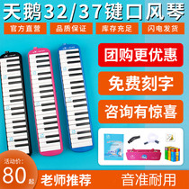 Swanmouth Organ 37 Key All-Lemical Children Students with beginners teaching professional playing level harmonica musical instruments