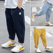 Boys' pants 2020 new summer thin loose Korean version of children's summer cotton anti-mosquito sunscreen bloomers