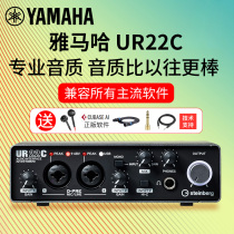 Yamaha Sound Card UR22C Recording Dubbing Audiobook Novel Broadcast Microphone Set Anchor Live K Song Device