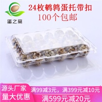 24 plastic quail egg holder with buckle disposable quail egg box gift box packaging transparent quail egg drag
