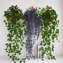 Wall pendant living room bedroom hanging decoration restaurant clothing shop creative wall wall decoration green plant wall decoration