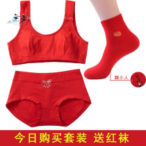 Net reddish book Year Old Red Pure Cotton Underwear Suit Teenage Girl Bra Early Primary And Middle School Education Period Girl Great Boy Bull