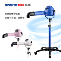 Negative Ion Brushless Motor Lafur Machine Cat Dog Universal Blown Water Machine Boom Pet Hair Dryer drying blown deity