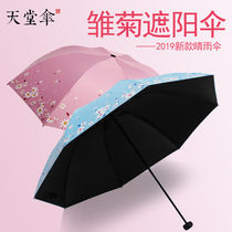 Vinyl parasol Large womens sunny and rain dual-use sun umbrella sunscreen and UV-proof folding ultra-light umbrella