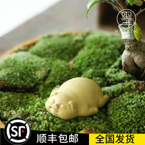 Mo Shou Zisha tea pet ornaments tea play tea art pig boutique can raise the wealth of small Fu pig tea tray tea pet home