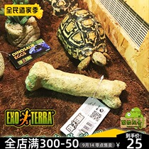 Canadian EXO TERRA Xijin simulation dinosaur bone reptile box landscape tortoise lizard snake Spider Scorpion