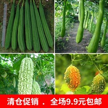 Golden Bell Oase Melon Grape Seeds Cut Melon Seals Snake Melon Seed Angular Luffa Seed Bitter Melon Seeds