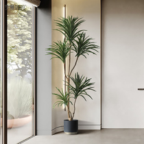 Roman Mama Indoor Emulation Plant Red Line Iron Potted room lilies Bamboo green plant Silence Bonsai Ground Decoration