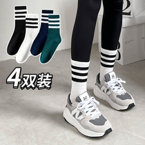 Socks with shark pants