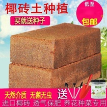 Yebrick Coconut Shell Nutraceutical Coconut Chaff Leaf Cong Brick Earth Reptile Mat to raise flowers and vegetables Sterile Versatile seed Flowers Supplies