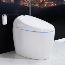 Name magnetic automatic electric Flushing household integrated water tank seat toilet flushing and drying toilet