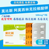 Hanwei Chong Smobi New Amoxicillin Clavulanate Potassium Pet Dog Cat Dog Anti-inflammatory Medicine 500mg*7 Capsules