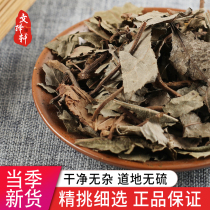 Wenzexuan Chinese herbal medicine shop flat wood dwarf ground wood does not leave the bottom of the forest leaves 50 grams of red under the leaves