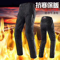 Scoyco racing feather motorcycle riding pants mens waterproof winter plus velvet warm racing pants wear-resistant anti-drop motorcycle pants