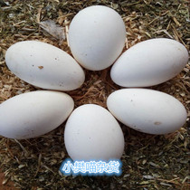 Fresh farm free-range soil goose eggs Big goose eggs pregnant women to fetal poison organic 80 yuan 12 pieces