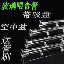 Glass esophagus Crystal shrimp feeding tube Aerial shrimp feeding basin Double suction cup horn mouth Ornamental fish turtle snail shrimp feeder