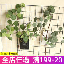 INS Wind Gingko Leaves Apple Leaf Emulation Flower Green Plant Background Wall Decoration Furnishing Fake talk branch leaves